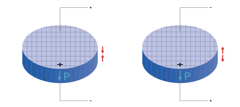 PI Ceramic 1-3 composite discs