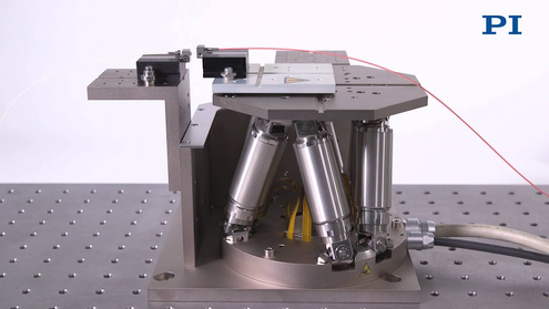 PI Hexapoden in der Mikroproduktion